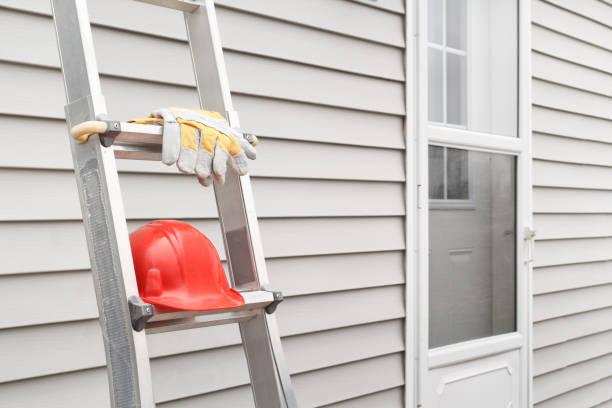 Best Aluminum Siding Installation  in Cadillac, MI