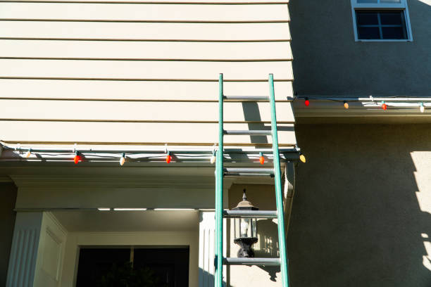 Best Storm Damage Siding Repair  in Cadillac, MI