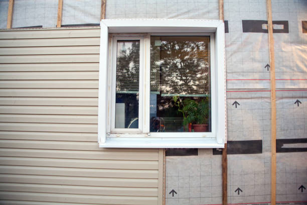 Best Brick Veneer Siding  in Cadillac, MI