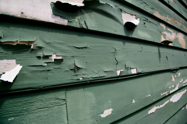 Best James Hardie Siding  in Cadillac, MI