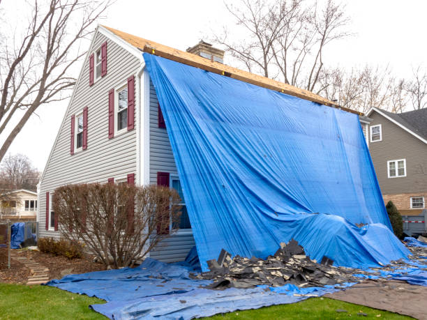 Best Siding Replacement  in Cadillac, MI